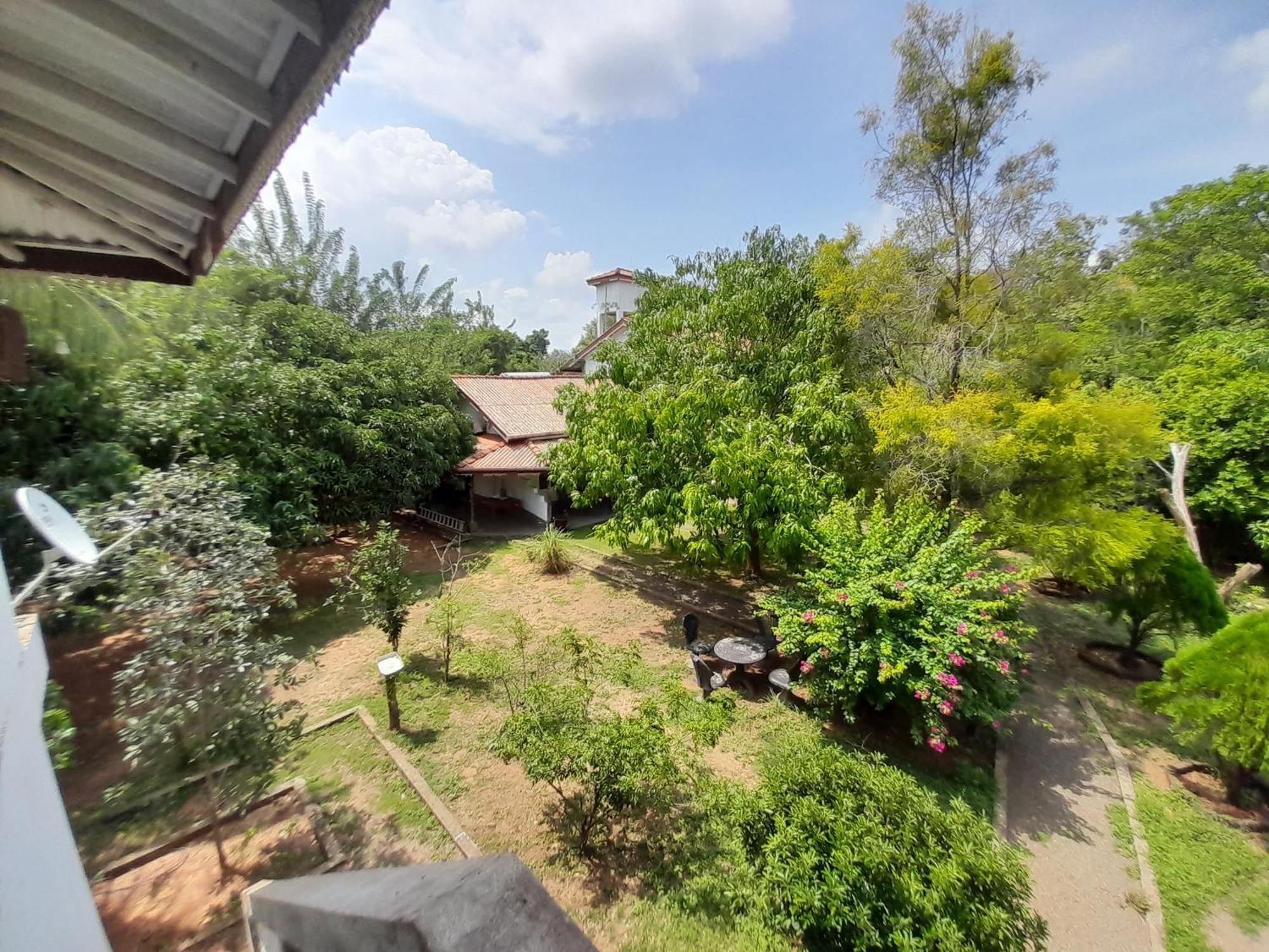 The Monkey Garden Hostel Sigiriya Bagian luar foto