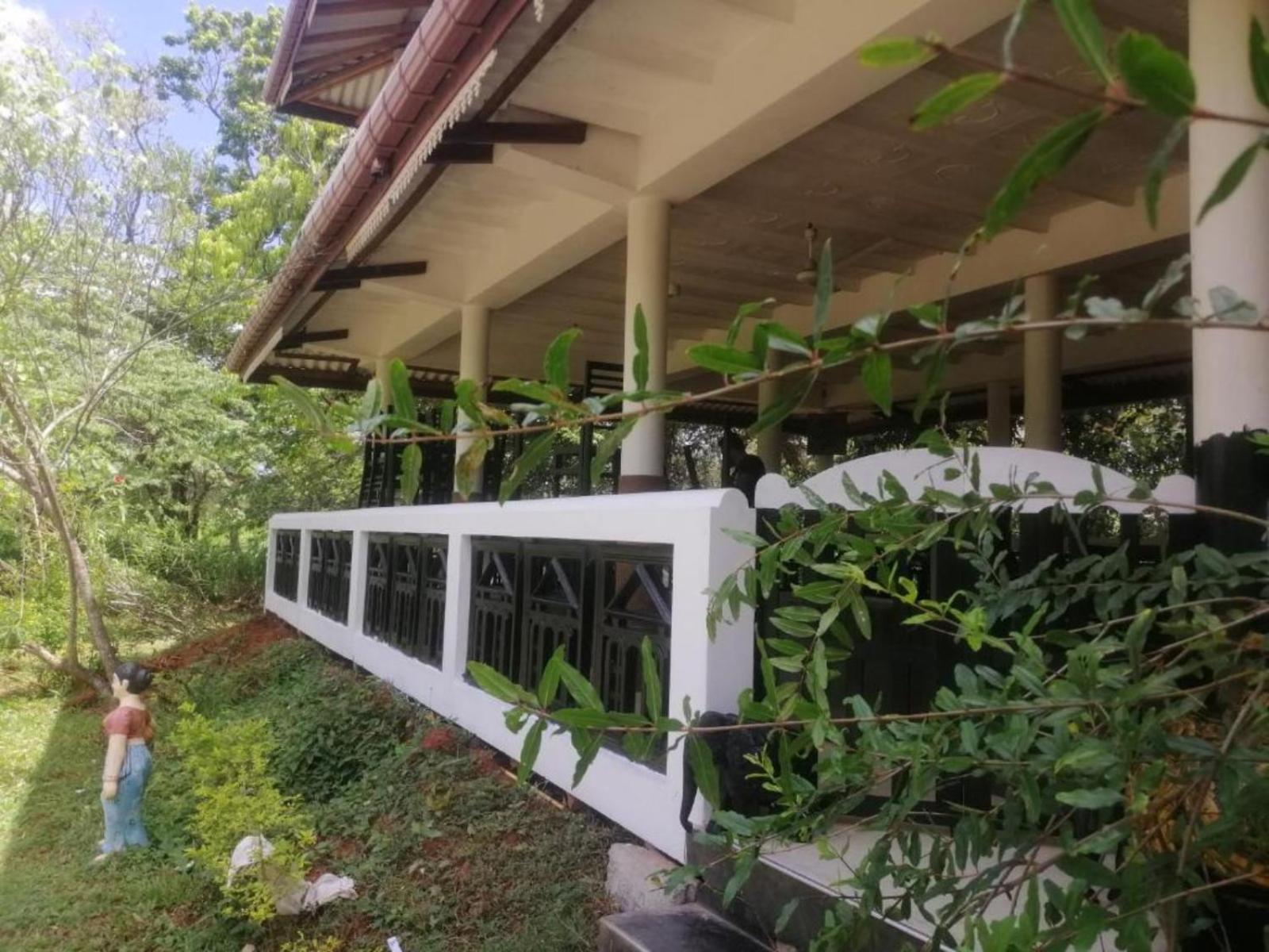 The Monkey Garden Hostel Sigiriya Bagian luar foto